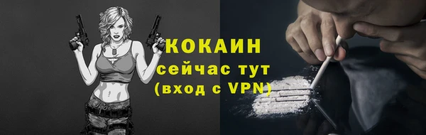 сатива Баксан