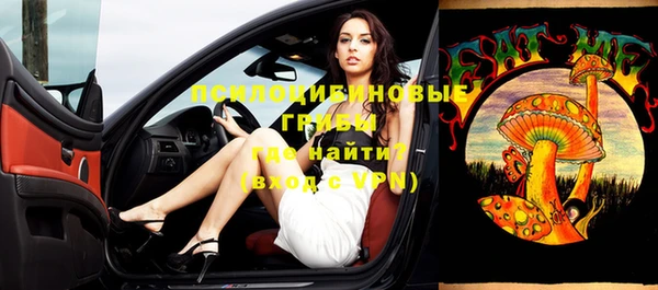 сатива Баксан