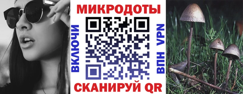 как найти наркотики  Нижний Новгород  Псилоцибиновые грибы мицелий 